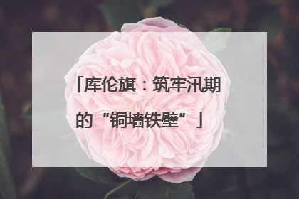库伦旗：筑牢汛期的“铜墙铁壁”