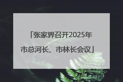 张家界召开2025年市总河长、市林长会议