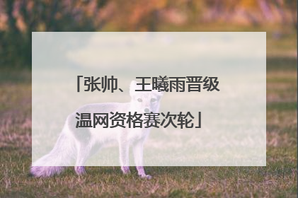 张帅、王曦雨晋级温网资格赛次轮