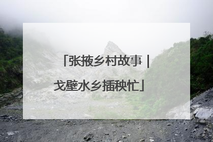 张掖乡村故事｜戈壁水乡插秧忙
