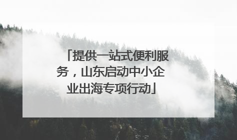 提供一站式便利服务，山东启动中小企业出海专项行动