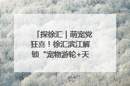 探徐汇｜萌宠党狂喜！徐汇滨江解锁“宠物游轮+天台乐园”双玩法