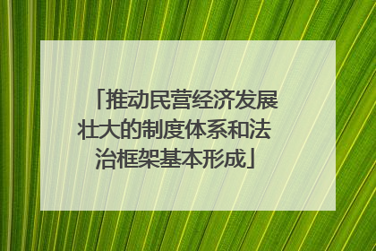推动民营经济发展壮大的制度体系和法治框架基本形成
