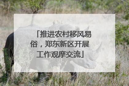 推进农村移风易俗，郑东新区开展工作观摩交流