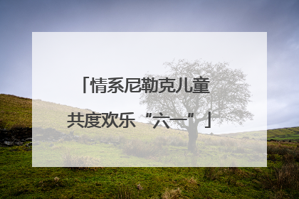 情系尼勒克儿童 共度欢乐“六一”
