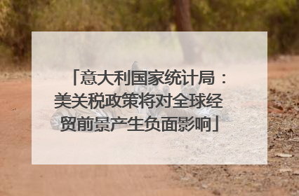 意大利国家统计局：美关税政策将对全球经贸前景产生负面影响