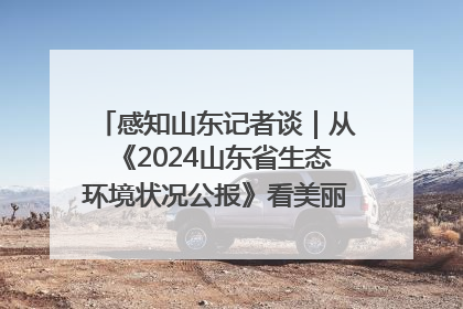 感知山东记者谈｜从《2024山东省生态环境状况公报》看美丽山东建设的“成绩单”与“任务书”