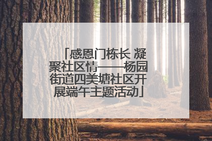 感恩门栋长 凝聚社区情——杨园街道四美塘社区开展端午主题活动