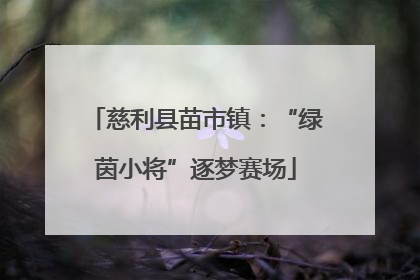 慈利县苗市镇：“绿茵小将”逐梦赛场