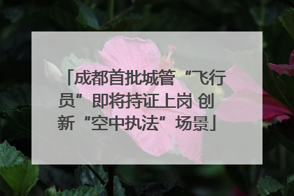 成都首批城管“飞行员”即将持证上岗 创新“空中执法”场景