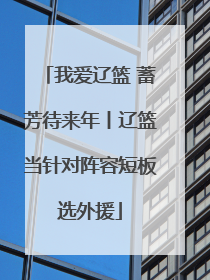 我爱辽篮 蓄芳待来年丨辽篮当针对阵容短板选外援