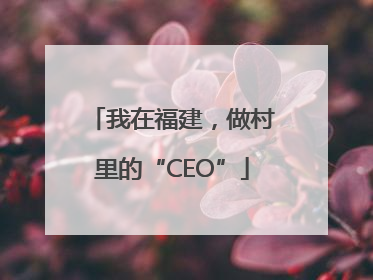 我在福建，做村里的“CEO”