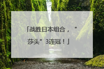 战胜日本组合，“莎头”3连冠！
