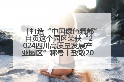 打造“中国绿色氟都” 自贡这个园区荣获“2024四川高质量发展产业园区”称号丨致敬2024经济影响力人物