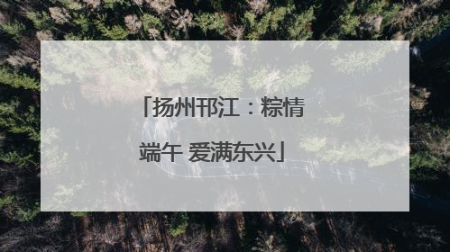 扬州邗江：粽情端午 爱满东兴