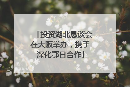 投资湖北恳谈会在大阪举办，携手深化鄂日合作