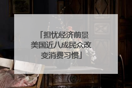 担忧经济前景 美国近八成民众改变消费习惯