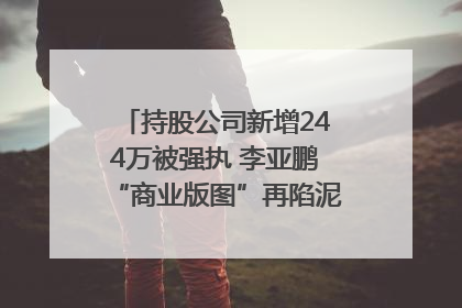 持股公司新增244万被强执 李亚鹏“商业版图”再陷泥潭？｜科技观察