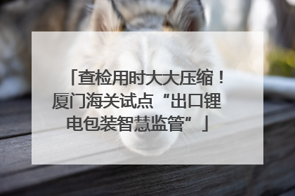 查检用时大大压缩！厦门海关试点“出口锂电包装智慧监管”