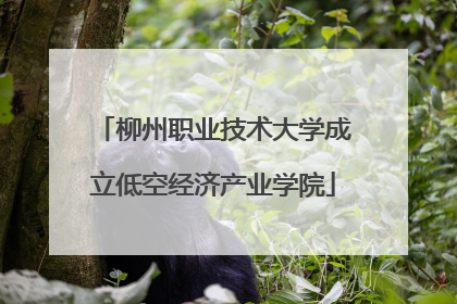 柳州职业技术大学成立低空经济产业学院
