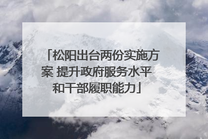 松阳出台两份实施方案 提升政府服务水平和干部履职能力