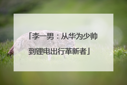 李一男：从华为少帅到锂电出行革新者