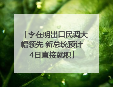 李在明出口民调大幅领先 新总统预计4日直接就职