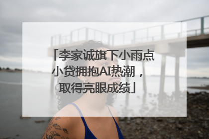 李家诚旗下小雨点小贷拥抱AI热潮，取得亮眼成绩