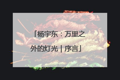 杨宇东：万里之外的灯光｜序言