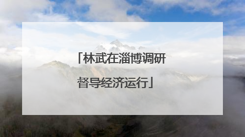 林武在淄博调研督导经济运行