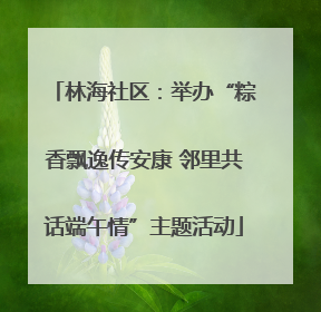 林海社区：举办“粽香飘逸传安康 邻里共话端午情”主题活动