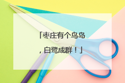 枣庄有个鸟岛，白鹭成群！