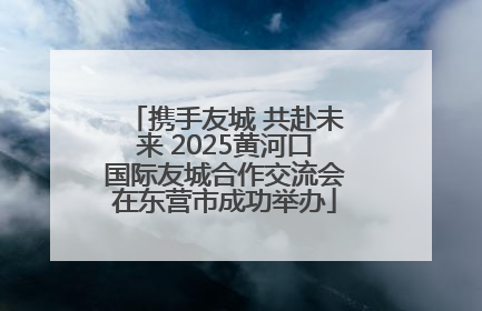 携手友城 共赴未来 2025黄河口国际友城合作交流会在东营市成功举办