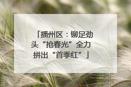 播州区：铆足劲头“抢春光”全力拼出“首季红”