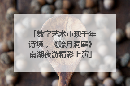 数字艺术重现千年诗境，《赊月洞庭》南湖夜游精彩上演