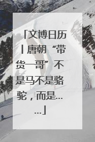 文博日历丨唐朝“带货一哥”不是马不是骆驼，而是……