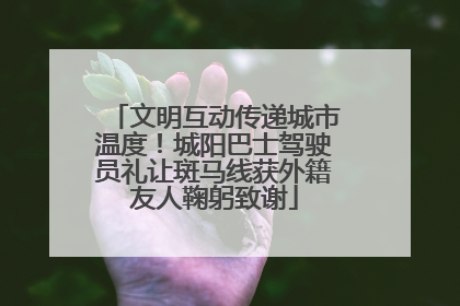 文明互动传递城市温度！城阳巴士驾驶员礼让斑马线获外籍友人鞠躬致谢