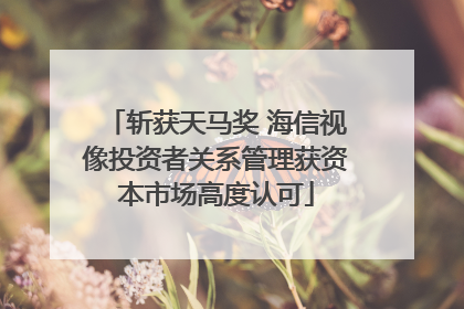 斩获天马奖 海信视像投资者关系管理获资本市场高度认可