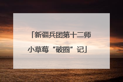 新疆兵团第十二师小草莓“破圈”记