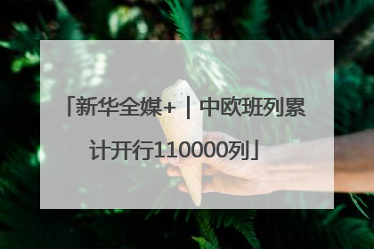 新华全媒+｜中欧班列累计开行110000列