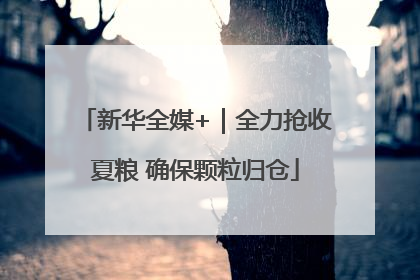 新华全媒+｜全力抢收夏粮 确保颗粒归仓