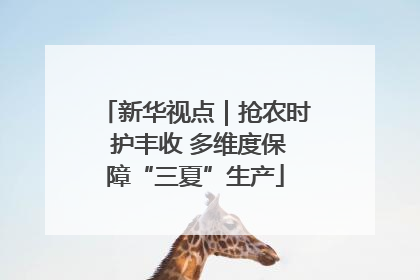 新华视点｜抢农时 护丰收 多维度保障“三夏”生产