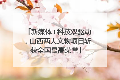 新媒体+科技双驱动，山西两大文物项目斩获全国最高荣誉