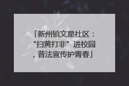 新州镇文星社区：“扫黄打非”进校园，普法宣传护青春