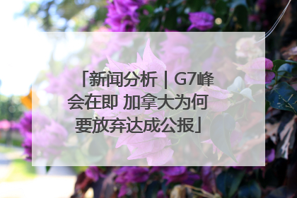 新闻分析｜G7峰会在即 加拿大为何要放弃达成公报