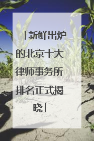 新鲜出炉的北京十大律师事务所排名正式揭晓