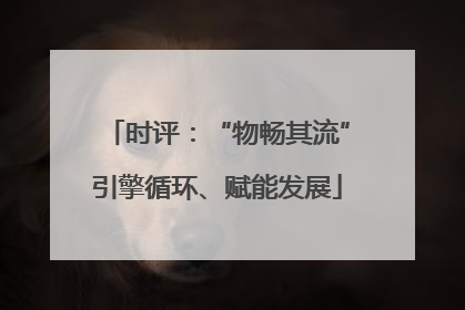 时评：“物畅其流”引擎循环、赋能发展
