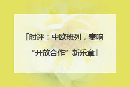 时评：中欧班列，奏响“开放合作”新乐章