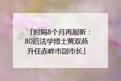 时隔8个月再履新：80后法学博士黄双燕升任赤峰市副市长