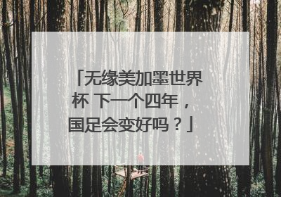 无缘美加墨世界杯 下一个四年，国足会变好吗？